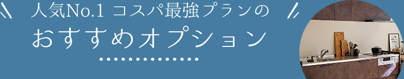 人気No.1コスパ最強プランのおすすめオプション