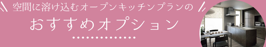 空間に溶け込むオープンキッチンプランのおすすめオプション