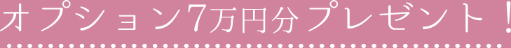オプション7万円分プレゼント！